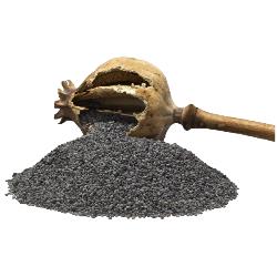 SEMILLA AMAPOLA AZUL WIBERG  BOLSA 500 GR