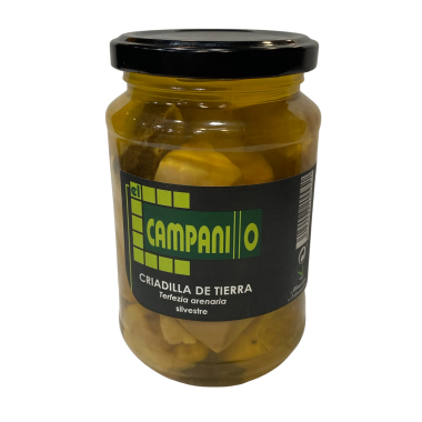 CRIADILLA DE TIERRA EL CAMPANILLO T/CRISTAL 560GRR