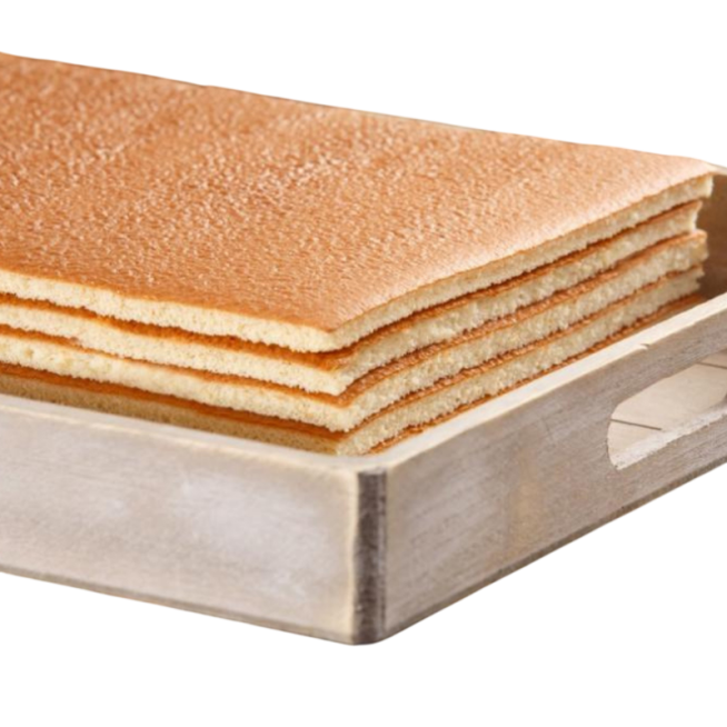BIZCOCHO PLANCHA CONG. 590X390X9 C/11UD