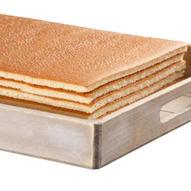 BIZCOCHO PLANCHA CONG. 590X390X9 C/11UD