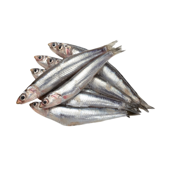 BOQUERON CONGELADOS "G/M" 50-55 PZ PROVECAEX 400G.
