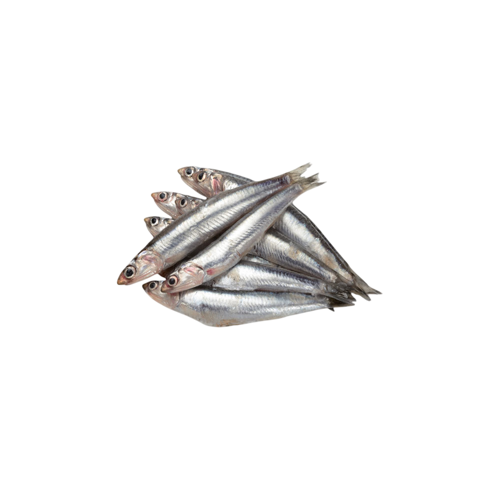 BOQUERON CONGELADOS "G/M" 50-55 PZ PROVECAEX 400G.