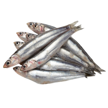 BOQUERON CONGELADOS "G/M" 50-55 PZ PROVECAEX 400G.