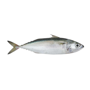 CABALLON-ESTORNINO FRESCO.PVP.X.KG