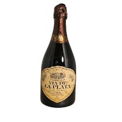 CAVA VIA DE LA PLATA BRUT CHARDONNAY B/75 CL