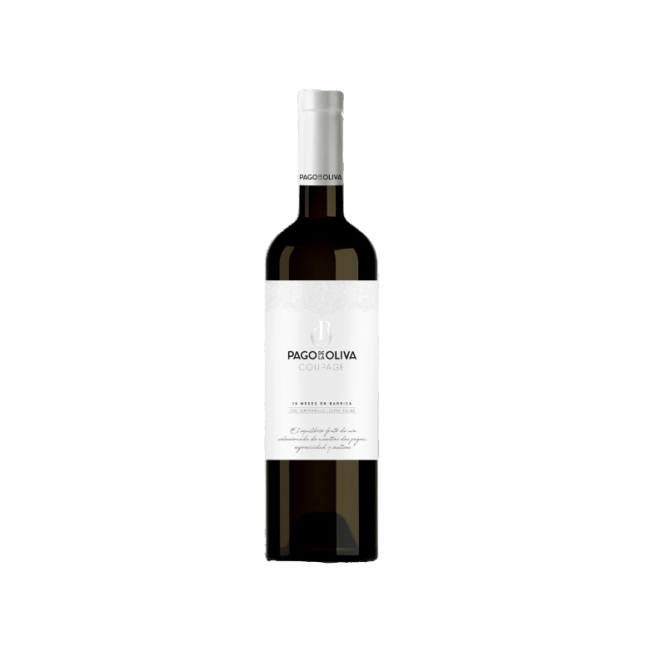 VINO PAGO/OLIVA  SELECCION-18 CEPAS-V 75.CL