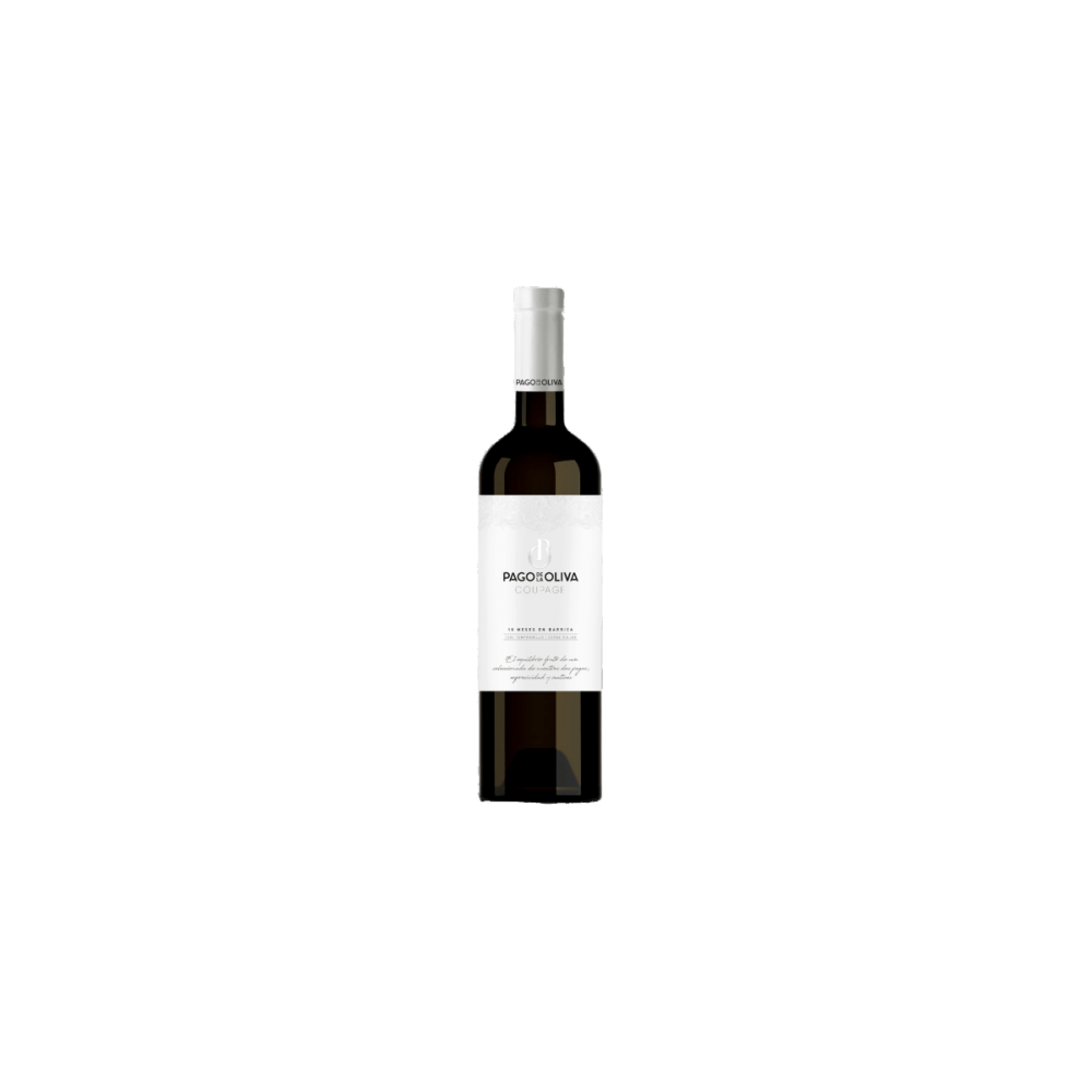 VINO PAGO/OLIVA  SELECCION-18 CEPAS-V 75.CL