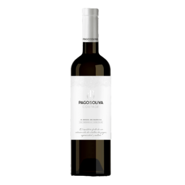 VINO PAGO/OLIVA  SELECCION-18 CEPAS-V 75.CL