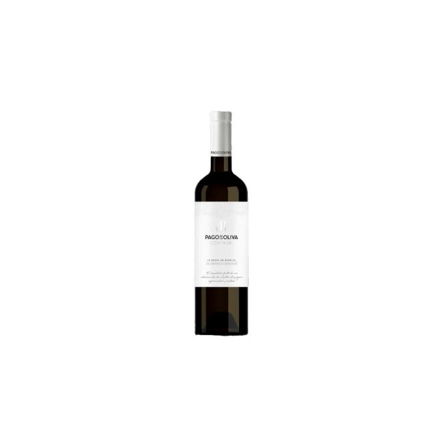 VINO PAGO/OLIVA  NOSTALGIE TINTO B/75.CL.