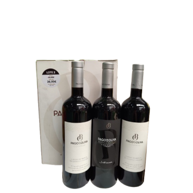VINO PAGO/OLIVA XEST/002-2.COPG+1TONN ESTUCHE