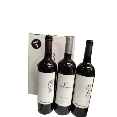 VINO PAGO/OLIVA XEST/001-2.SAV+1.COPG ESTUCHE