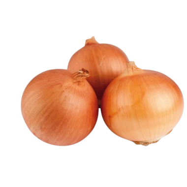 CEBOLLA GORDA EN SACO 25 KG