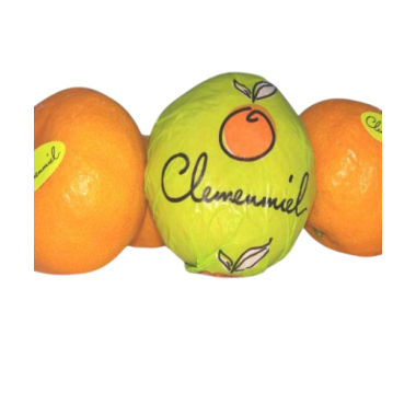MANDARINA CLEMENMIEL X.KG