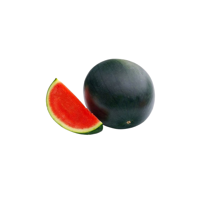 SANDIA NEGRA X KG
