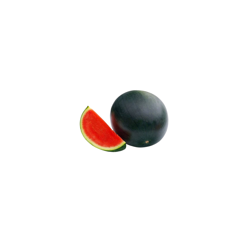 SANDIA NEGRA X KG