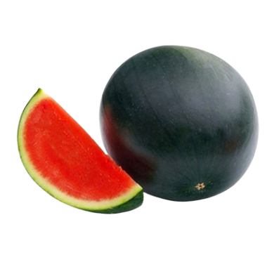 SANDIA NEGRA X KG