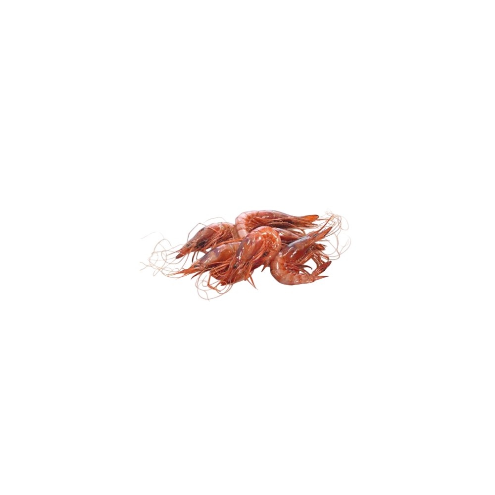 GAMBA BLANCA CRUDA 81/100 TERRA PVP.X.KG
