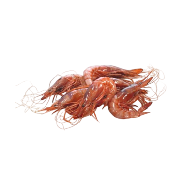 GAMBA BLANCA CRUDA 81/100 TERRA PVP.X.KG