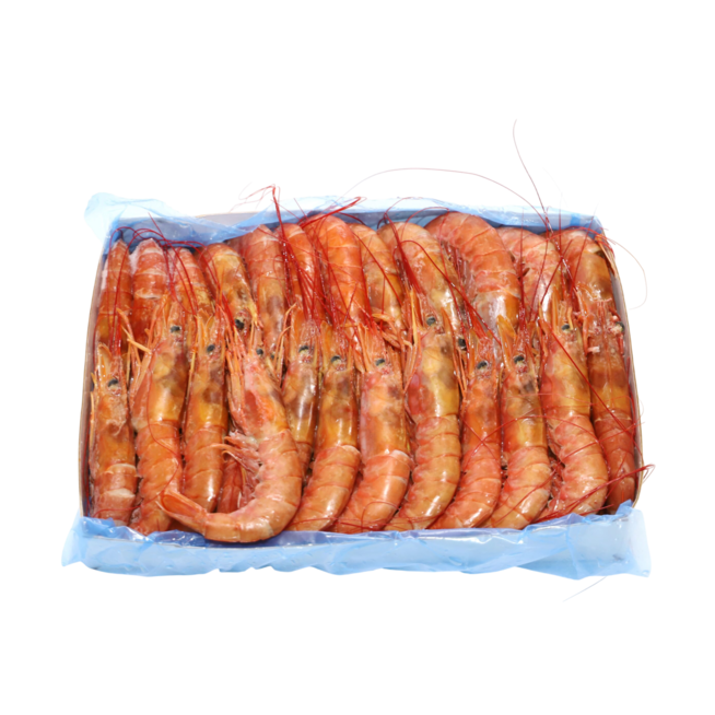 GAMBON L-1/10-20  BONASUR CONG. CAJA-2 KG