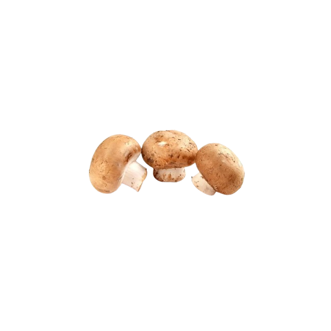 CHAMPIÑON PORTOBELLO X KG