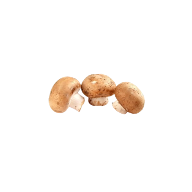 CHAMPIÑON PORTOBELLO X KG