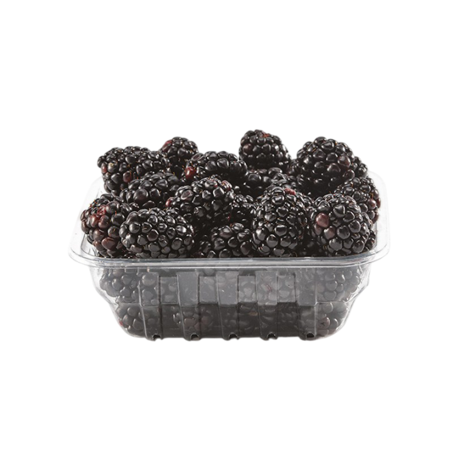 MORAS LOCHNESS BANDEJA 125 GR