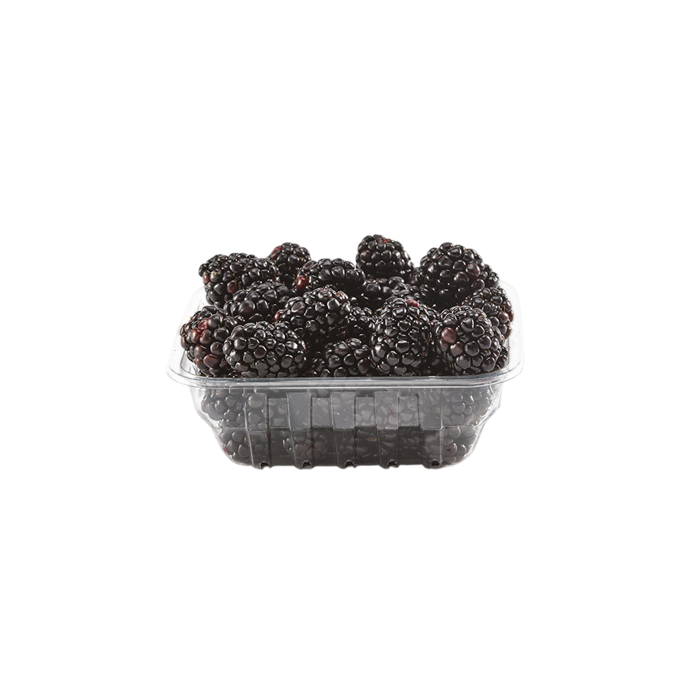MORAS LOCHNESS BANDEJA 125 GR