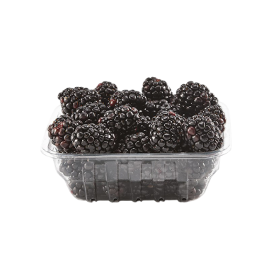MORAS LOCHNESS BANDEJA 125 GR