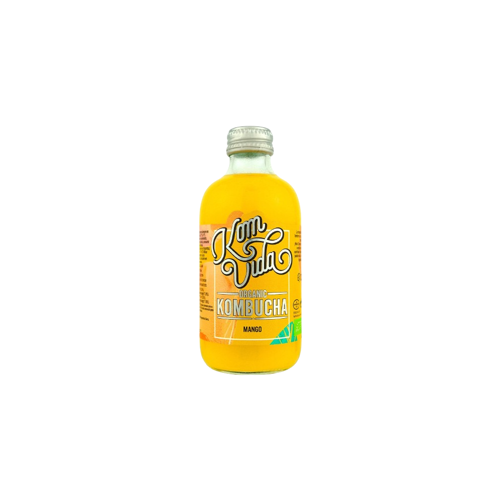 REFRESCO KOMBUCHA MANGO  ECO B/250ML
