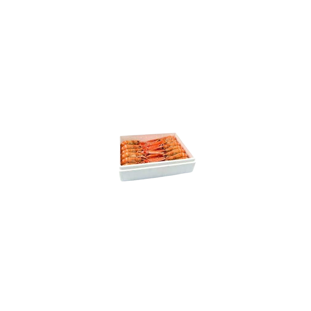CIGALAS CRUDA 000  3-6.CONG. PVP. X KG