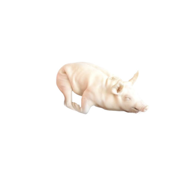 COCHINILLO  +4-5. KG.CONG.SEGOVIA X PIEZA.