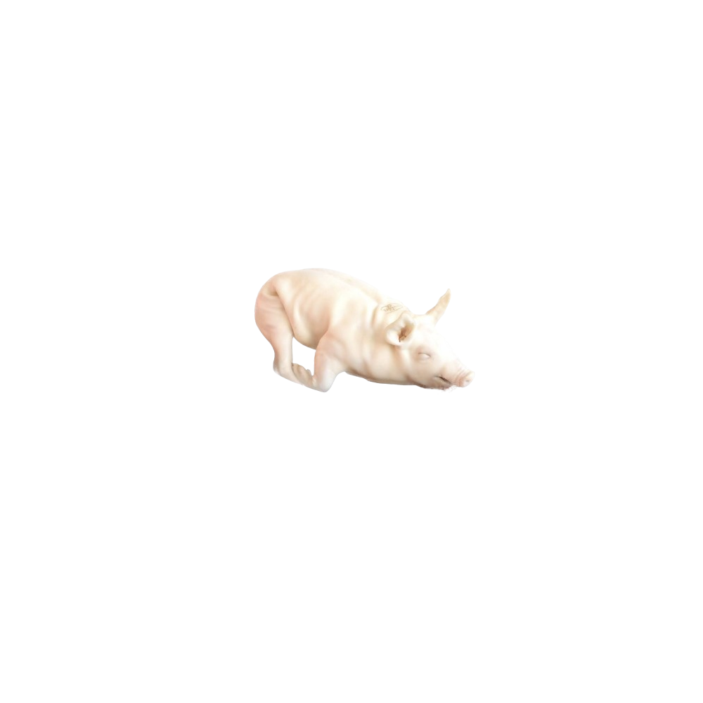 COCHINILLO  +4-5. KG.CONG.SEGOVIA X PIEZA.