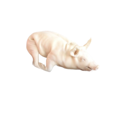 COCHINILLO  +4-5. KG.CONG.SEGOVIA X PIEZA.