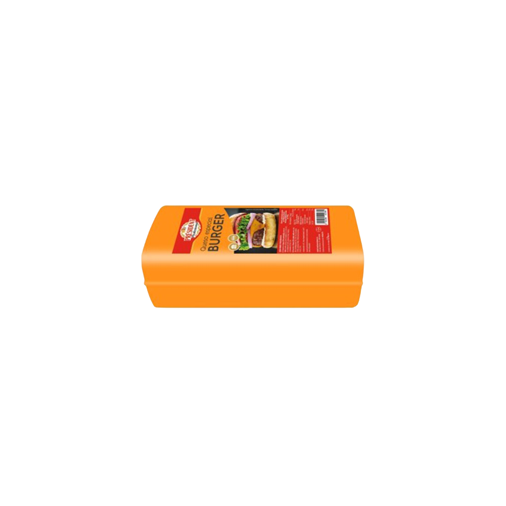 QUESO BARRA BURGUER PRESIDENT ESPECIAL X KG