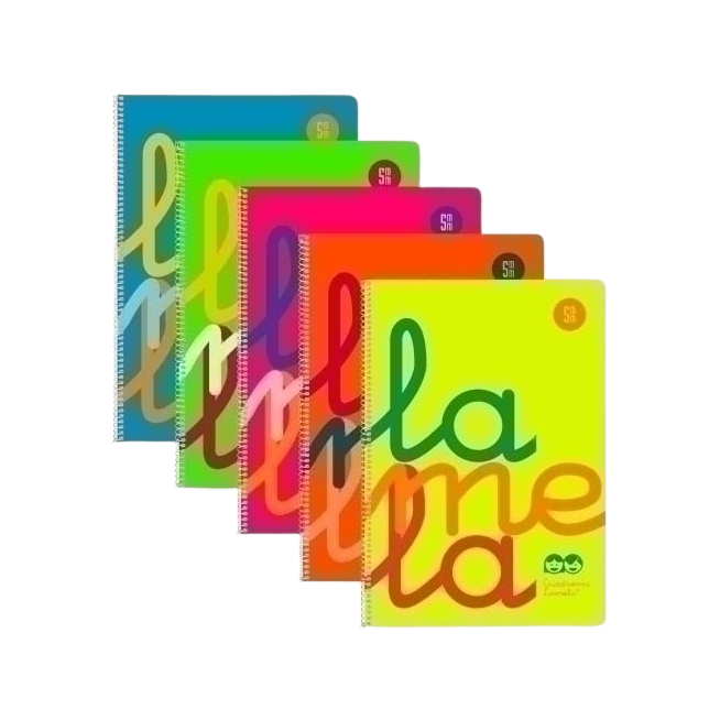 PP CUADERNO LAMELA POLIPROPILEN 80H Fº 5 MM UD