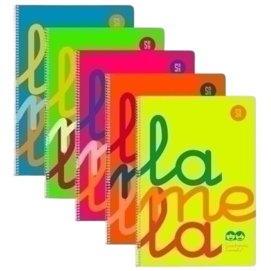 PP CUADERNO LAMELA POLIPROPILEN 80H Fº 5 MM UD