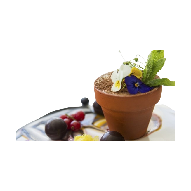 DESSERTS C/160148 MACETA TIRAMISU E/20U