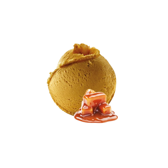 DESSERTS C/92051 HELADO DE CARAMELO SAL 2,5L