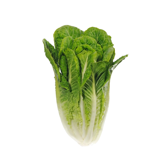 LECHUGA ROMANA FRESHKIA B/2 UD