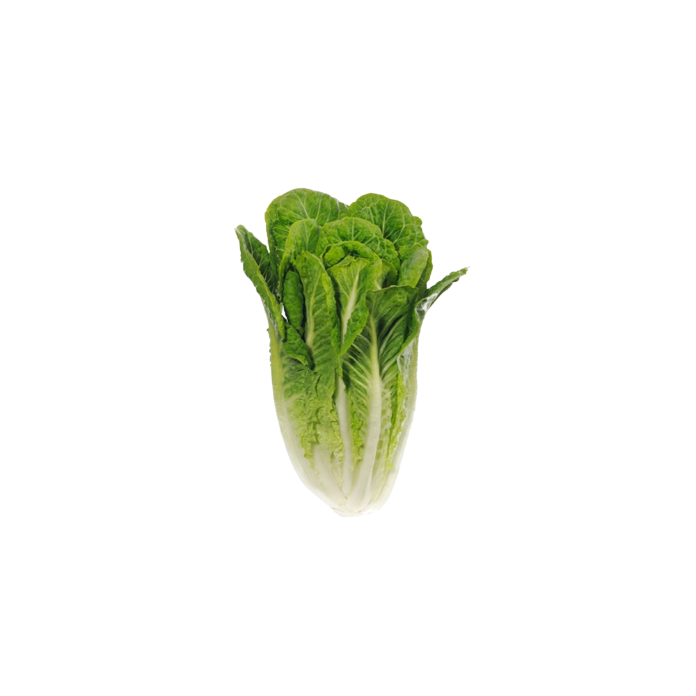LECHUGA ROMANA FRESHKIA B/2 UD