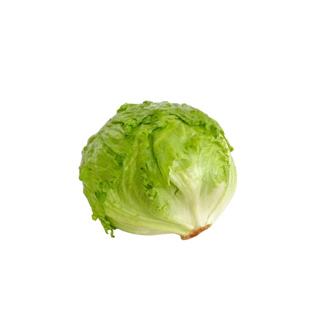 LECHUGA ICEBERG UD