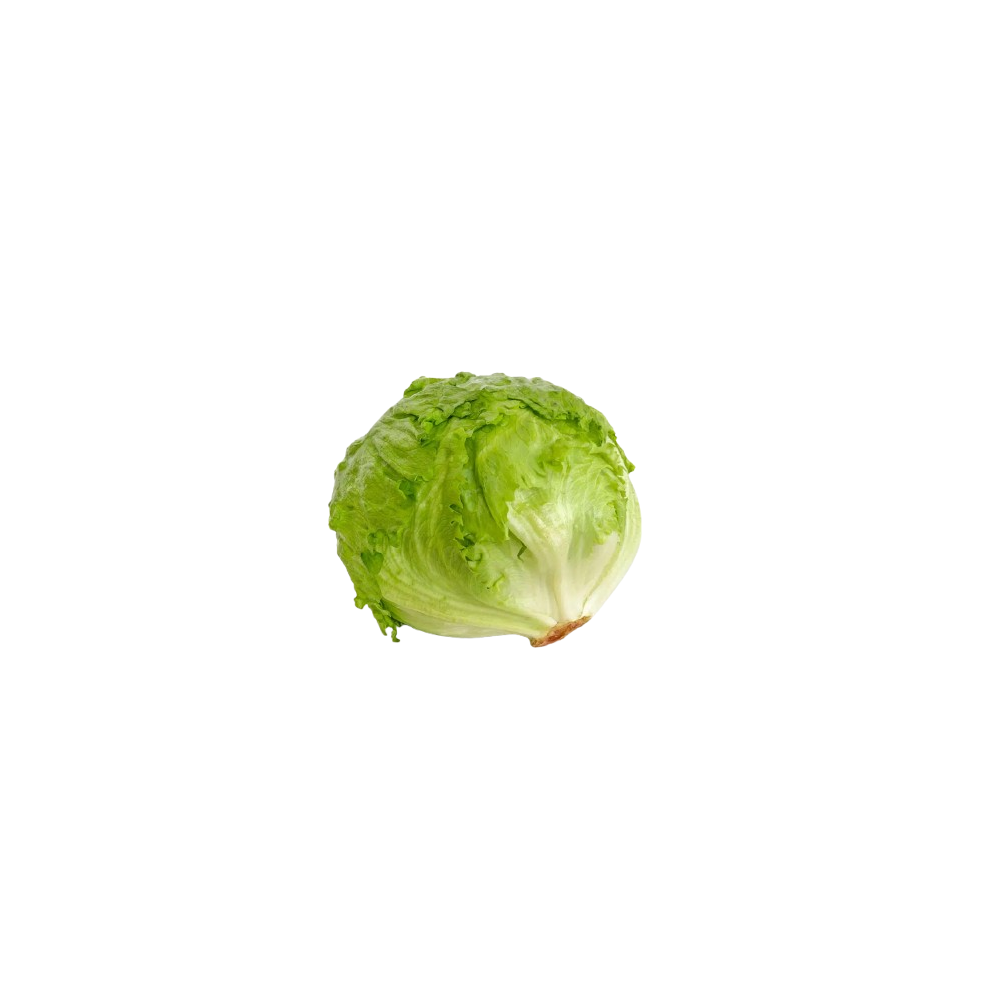 LECHUGA ICEBERG UD