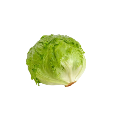 LECHUGA ICEBERG UD
