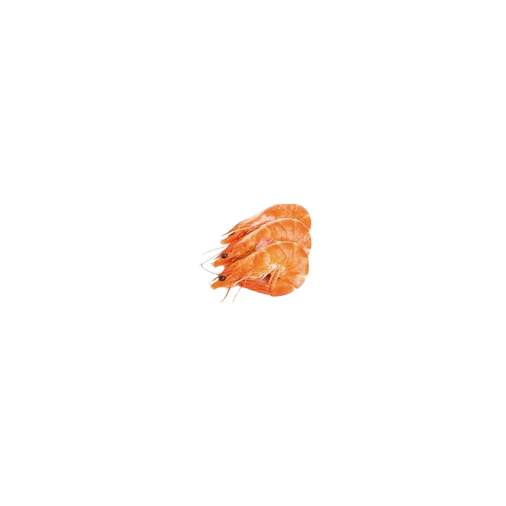 LANGOSTINO COCIDO 25/35 EX/A.CAL-PVP.KG