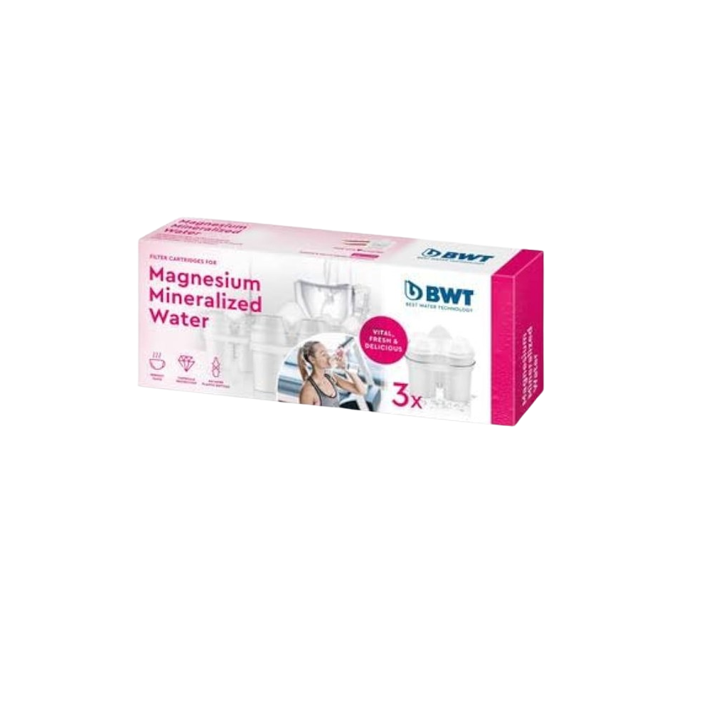 FILTRO RECAMBIO DE JARRA BWT PACK 1 UD