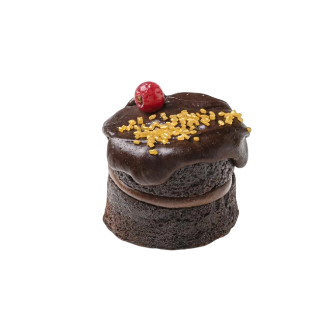 DESSERTS C/180036 PETIT CHOCOLIBRE 16UD