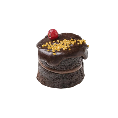 DESSERTS C/180036 PETIT CHOCOLIBRE 16UD