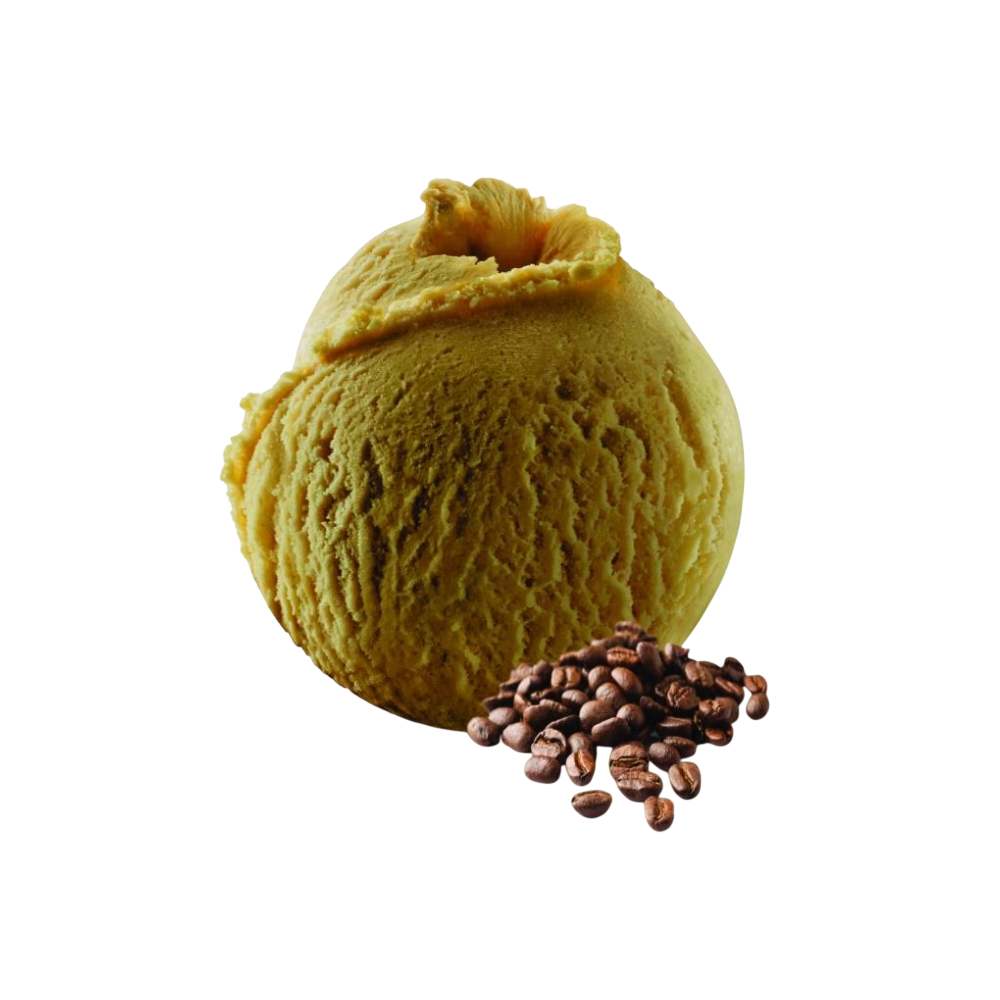 DESSERTS C/92031 HELADO CAFE 2,5L