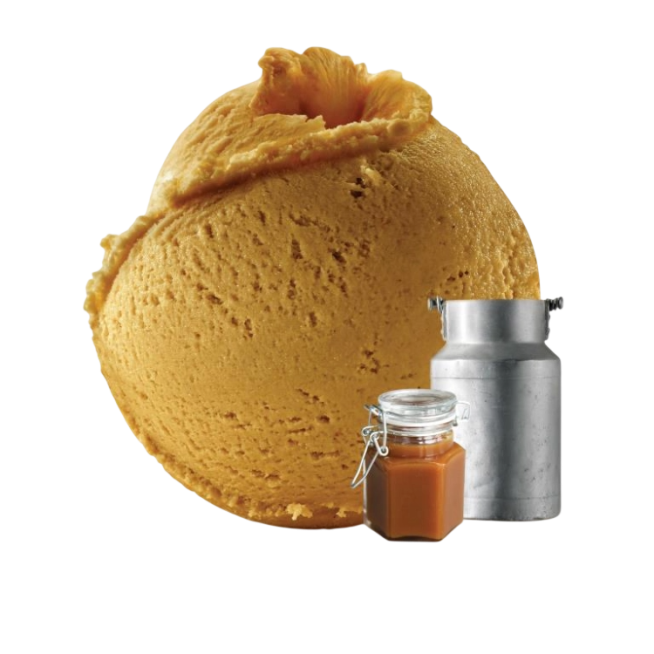 DESSERTS C/92702 HELADO DE DULCE DE LECHE 2,5L