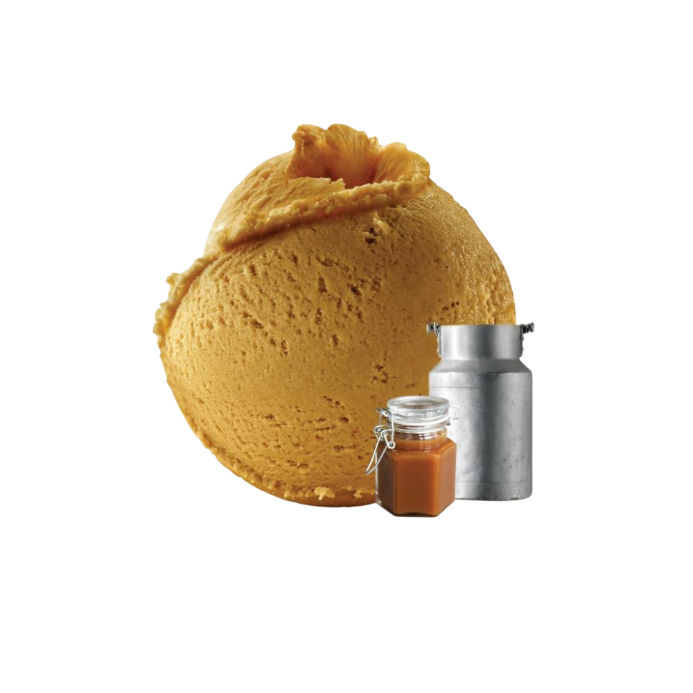 DESSERTS C/92702 HELADO DE DULCE DE LECHE 2,5L